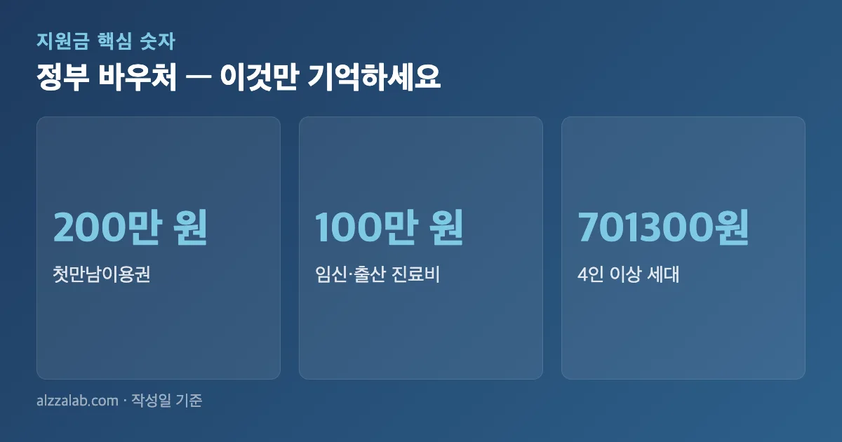 정부 바우처 핵심 숫자 요약